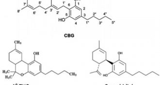 Read Dr Maroon’s Latest Article on CBD